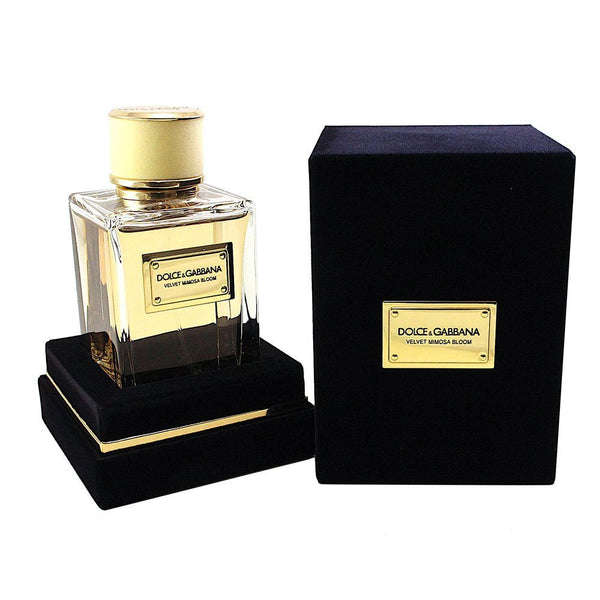 Dolce & Gabbana Velvet Mimosa Bloom Pour Femme Perfume for Women by ...