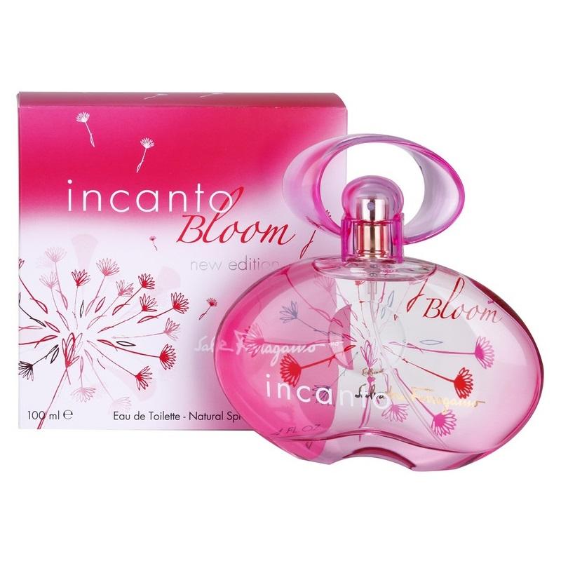 Incanto bloom new edition review clearance